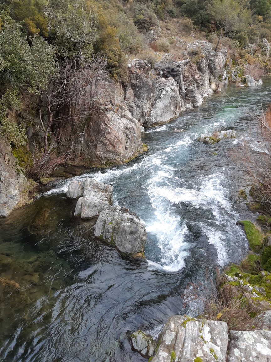 Rapide dans le canyon